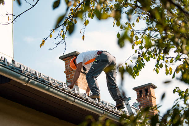 Best Roof Insulation Installation  in Crest, CA