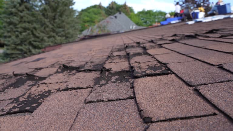 Best Asphalt Shingle Roofing  in Crest, CA